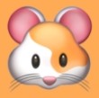 啪啪视频APPAPP应用