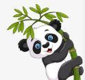 黄色直播最新版